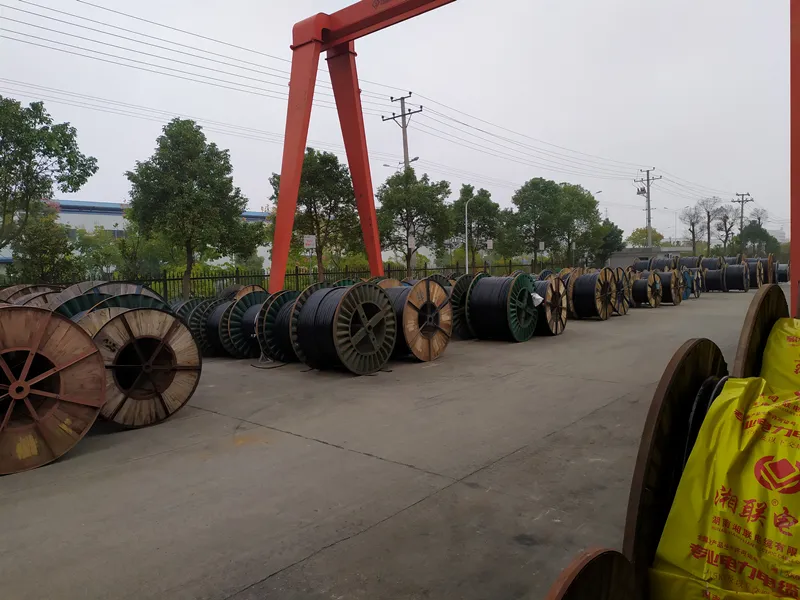 0.6.1.0 Kv Copper Conductor Electric Power Cable XLPE Insulated PVC Sheathed Underground Cable