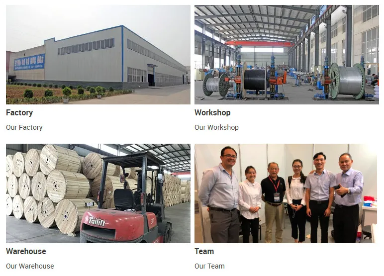 0.6/1kv XLPE/PVC Insulation Sheathed AAAC Aluminum Alloy Conductor