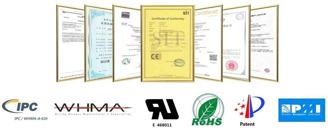 1.25mm 2.54mm Pitch Molex Connector to Tyco Connector Wire Harness