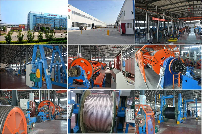 12AWG Single Wire Aluminium Clad Steel Wire Acs Wire