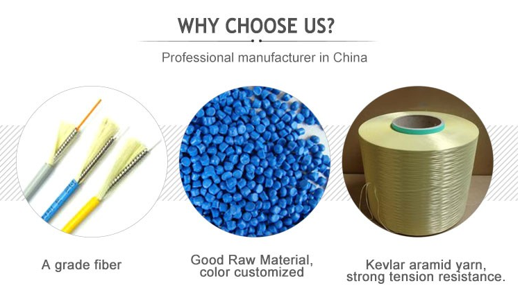 12F ASU80 G652 G657 outdoor optic fiber cable drop