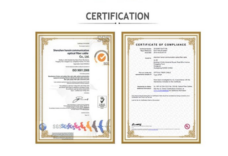 12f Asu80 G652 G657 Outdoor Optic Fiber Cable Drop