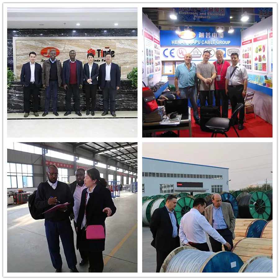 19/33kv XLPE Insluated and Steel Wire Armored Electric Cable Power Cable