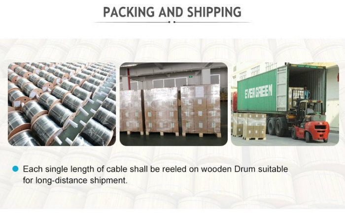 1c, 2 C, 4c, 6c, 8c, 12c Drop Cable/Optical Indoor/Outdoor Drop Cable/ Aerial FTTH Fiber Optical Cable