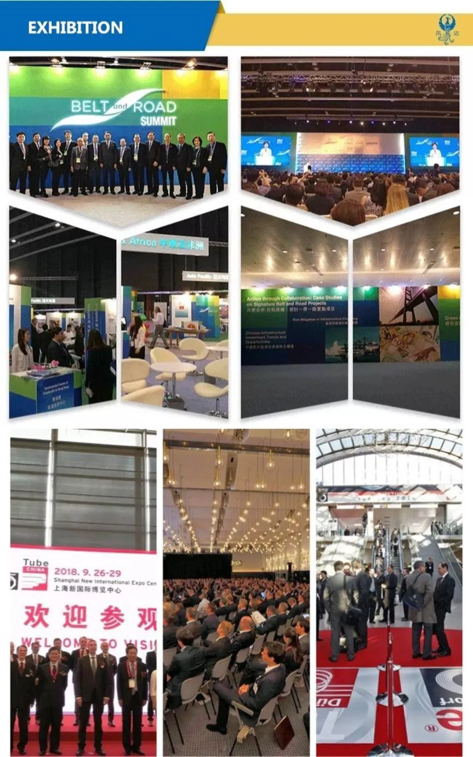 51XLPE Insulated Armored PVC Sheathed Mining Rubber Mediumlowvoltage Electric Cable