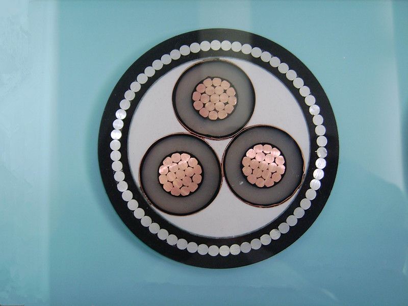 5kv 350mcm XLPE Insulated Armoured Power Cable Icea S-93-639/NEMA Wc 74 Standard