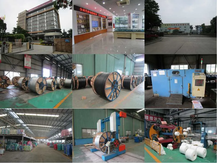 All Aluminum Conductor AAC Bare Overhead Conductor in Accordance with Standard IEC 61089