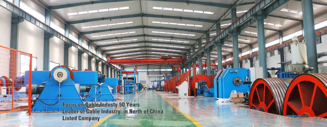 AS/NZS Copper Core, Polyvinyl Chloride, Insulated LV Electric Wire