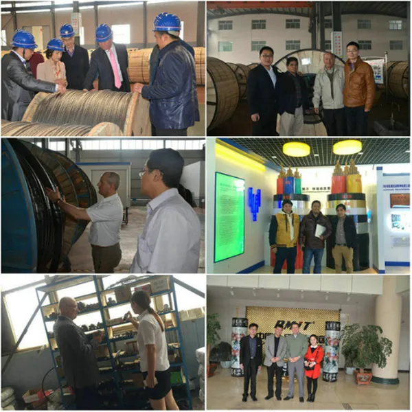 Aluminum Conductor Standard Cable AAC/ACSR/AAAC