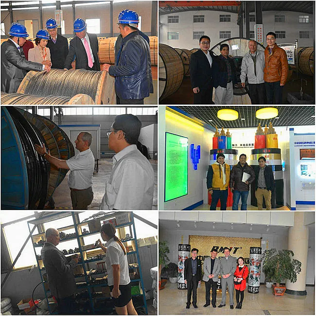 Bare Aluminum Alloy Conductor Acar Conductor Aluminum Cable with ASTM B524, IEC61089