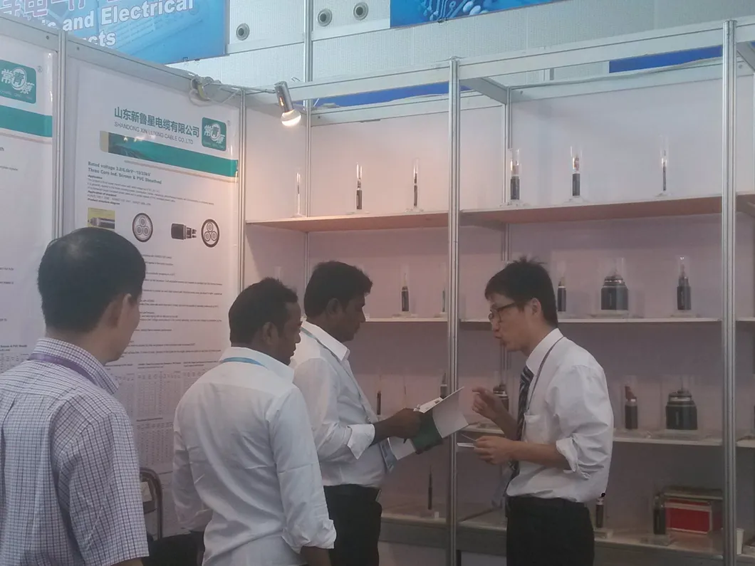 BS 6004 Flat PVC Insulated, PVC Sheathed Cable with Circuit Protective Conductor, 300/500 V, Single Core, Flat Twin and 3 Core, in Accordance with BS 6004