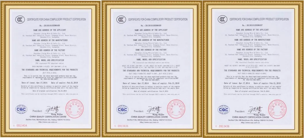 BS6004 BS En/IEC 60332-1-2 Fixed Installation Domestic and Light Industrial Double PVC Insulated Building Wire