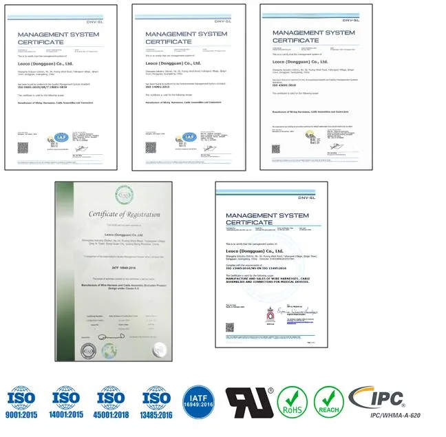 Cable Assembly with Magnetic Switch Overmolding