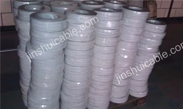 CCA Conductor Spt Wire 450/750V 2X10 AWG