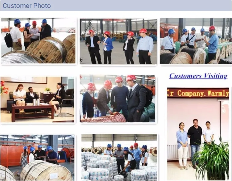 Chinese Manufacture Types of Bare ACSR Teal Rabbit Conductor