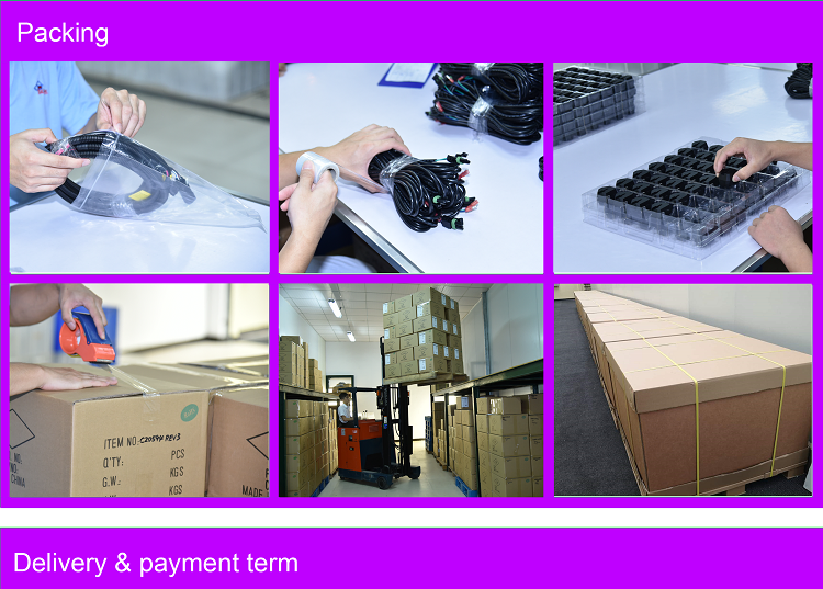 JST JWPF Waterproof Connector to thermo sensor Cable with PCB potting solution cable assembly