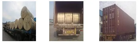 Loose Tube Non-Metallic Strength Member Non-Armored Fiber Optic Cable