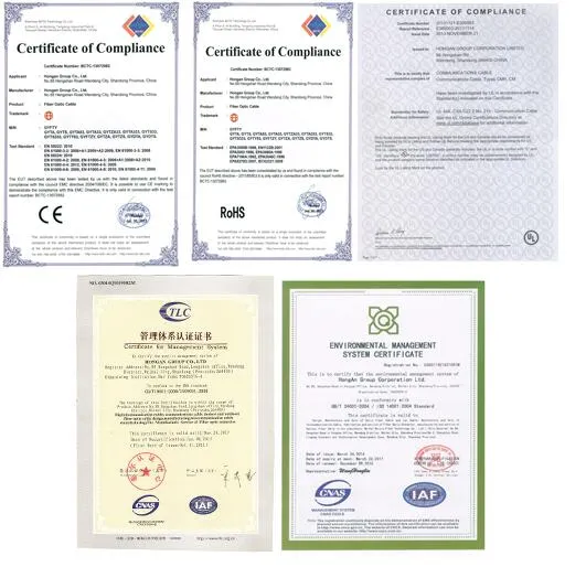 Loose Tube Non-Metallic Strength Member Non-Armored Fiber Optic Cable