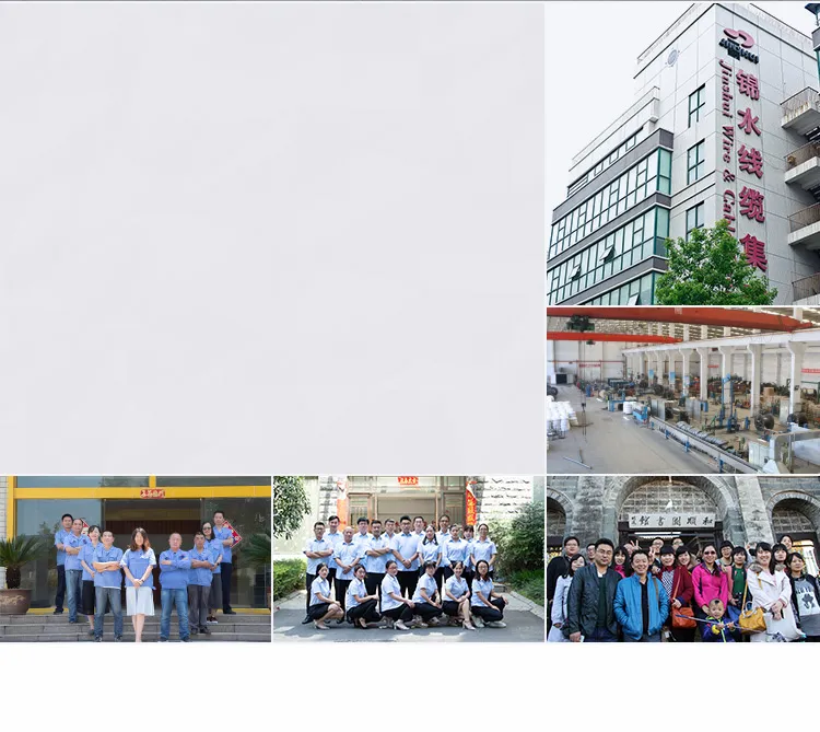 Lowest Price and Competitive Quality PVC Aluminum Conductor Insulated Cable