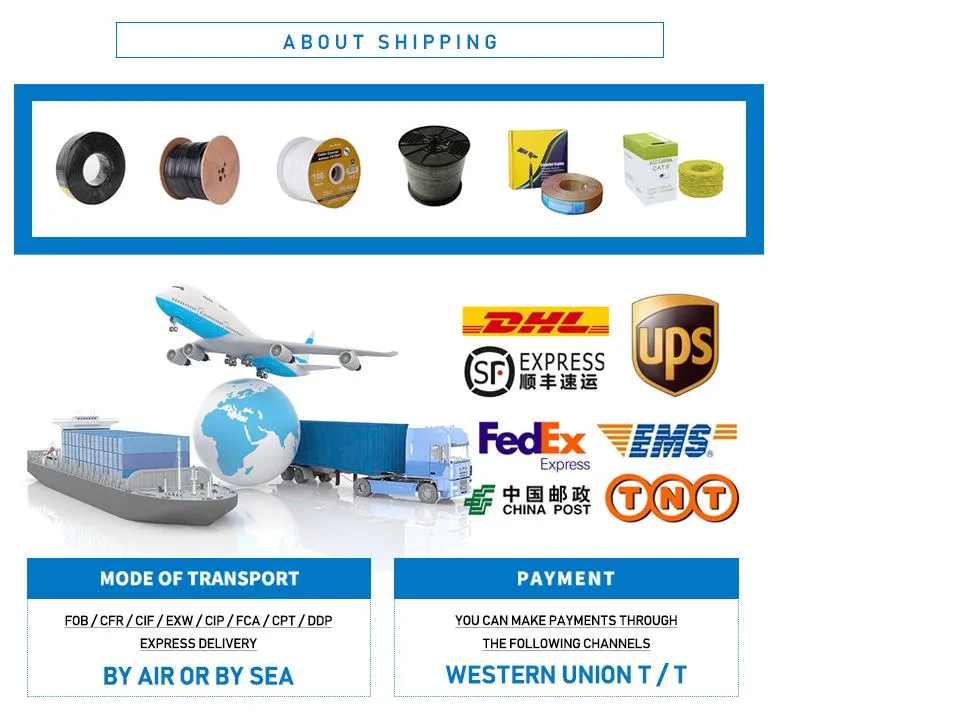 Outdoor Waterproof Armoured FTTH Drop Cable 2fo F657A LSZH Jacket Drop Cable FTTH