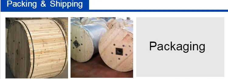 Power Transmission Line Overhead AAC AAAC Stranded Bare Aluminium Conductor Steel Reinforced ACSR Cable