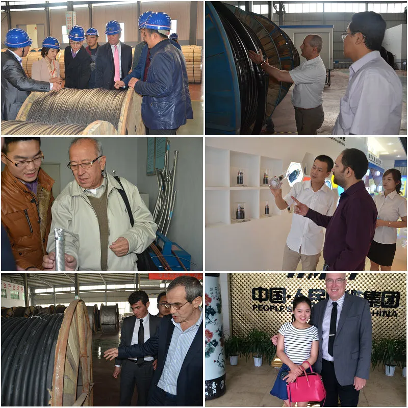 Power Transmission Line Overhead AAC AAAC Stranded Bare Aluminium Conductor Steel Reinforced ACSR Cable