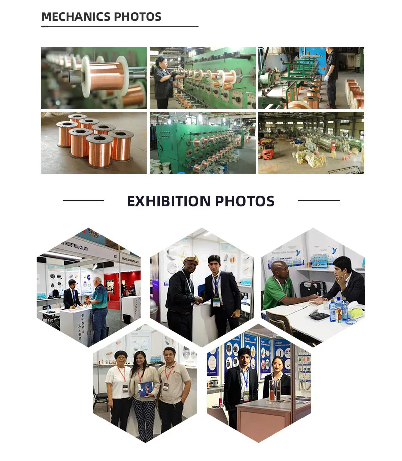 RJ45 Cat5e UTP Patch Route Ethernet Cable LAN Cable