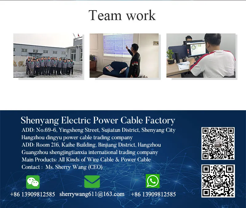 Shenguan Cy LSZH Control Cable, 300/500 V, Flexible Cu/Hf/Petp/Tcwb/LSZH (BS 6500/BS EN 50525-3-11) 16mm 4 Core Rubber Insulated Power Cable