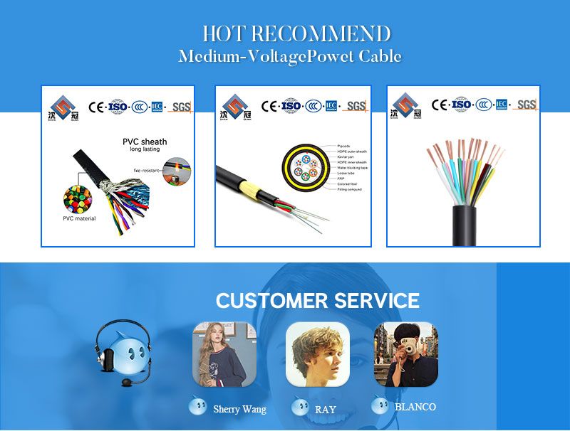 Shenguan Factory Supply 30V Awm UL2725 Multi Core Shielded Control Cable Shielded Control Power Electronic Cable Wire PVC Copper Cable Electric Cable