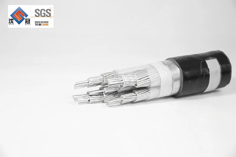 Shenguan Wire Cable Low Voltage Cable 300V 500V 450/750V 600V 2.5mm 12AWG Electrical Cable Price Control Cable