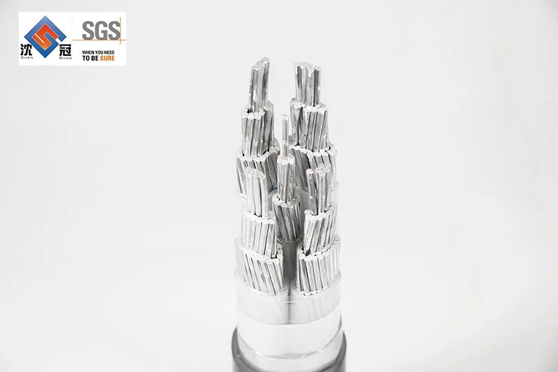 Shenguan Wire Cable Low Voltage Cable 300V 500V 450/750V 600V 2.5mm 12AWG Electrical Cable Price Control Cable