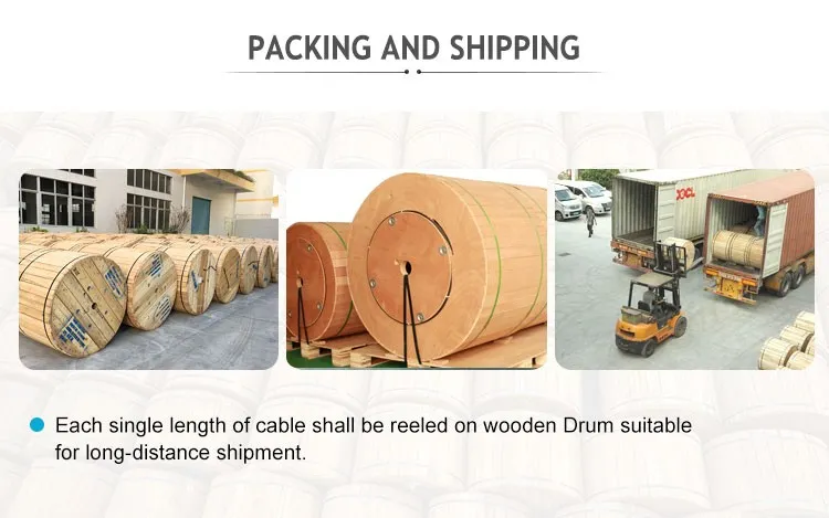 Shenzhen Hanxin 19 Years Fiber Optic Cables ODM Manufactory Supply Outdoor Armored GYXTW Marine Multicore LSZH Cable