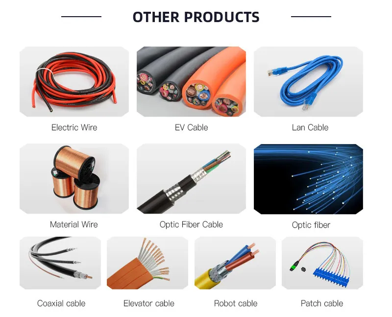 UTP CAT6 LAN Cable 305m Gigabit Fluke-Passed Poe Compatible Blue