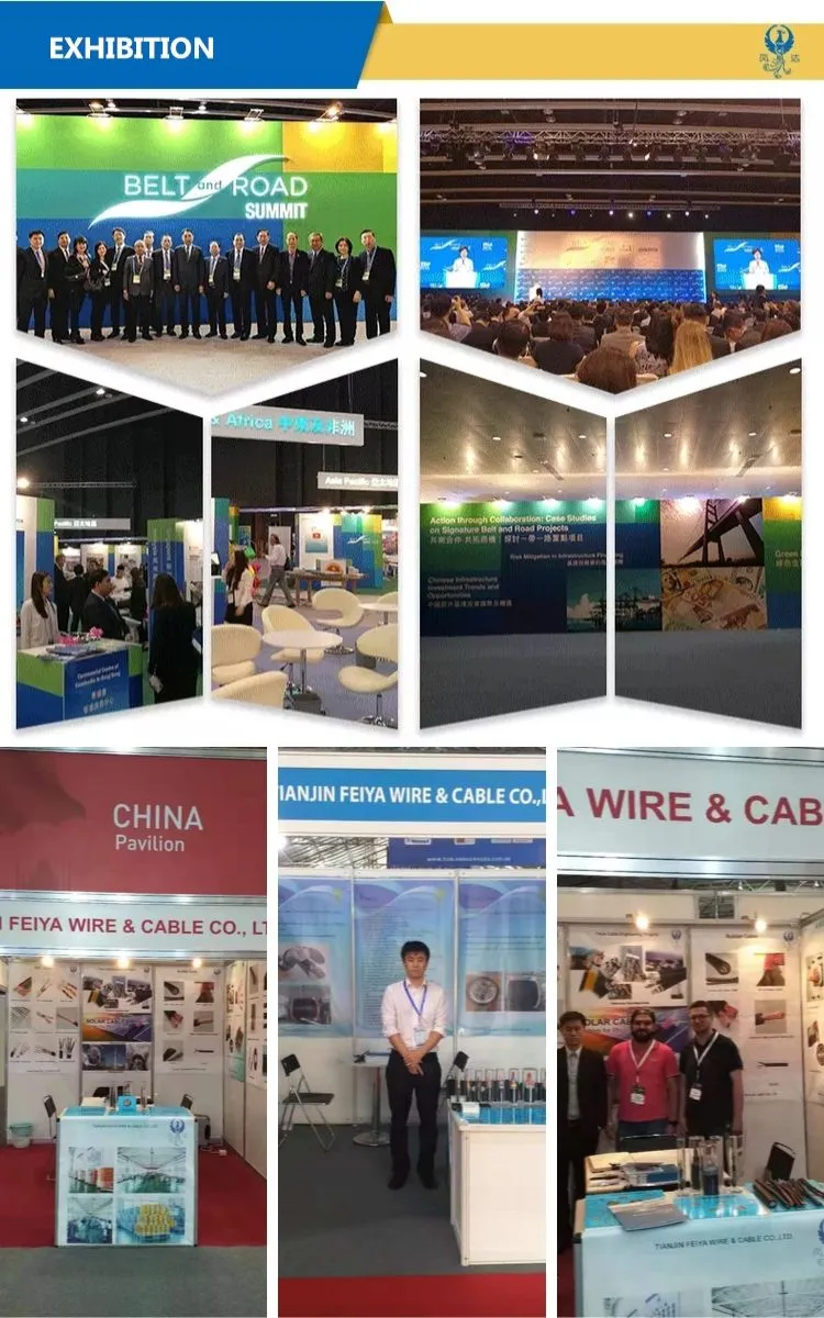 Wdz-Kyjyp Cu Core XLPE Insulation Polyolefine Sheathed Cu-Wire Braid Screening Low-Smoke Halogen-Free Flame-Retardant Control Cables