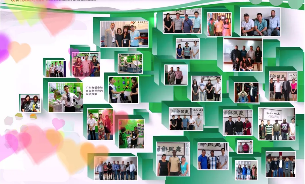 XLPE Wire Cable Armored XLPE Power Cable PVC Covered Electric Wire